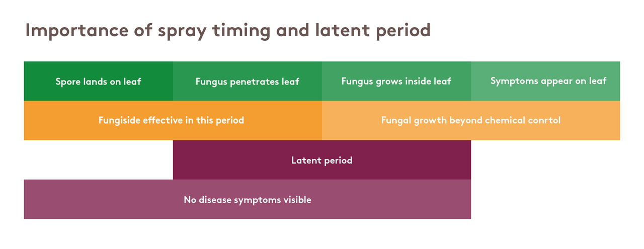 importance-of-spraying-timing-and-latent-period