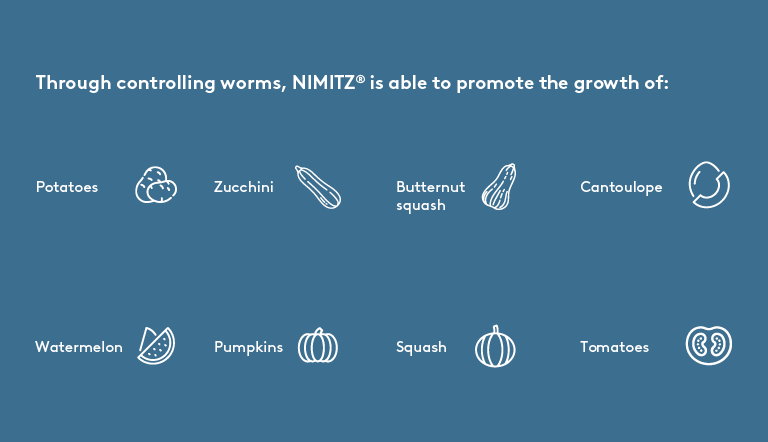 NIMITZ-ondersteun-die-groei-van