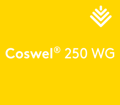 Coswel_56.png