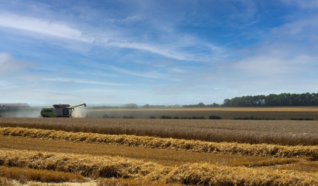 Tractor Harvesting