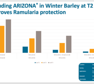 Including Arizona in Winter Barley at T2 improves Ramularia protection