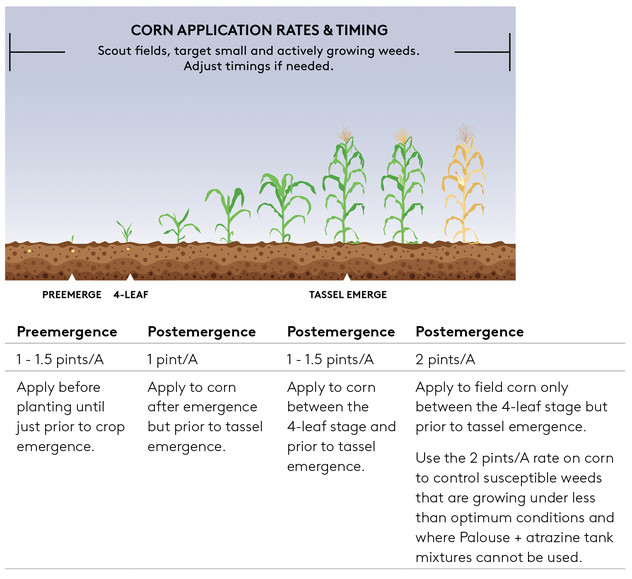 Palouse - Corn Application Chart