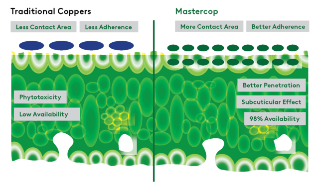 BioRetain Graphic