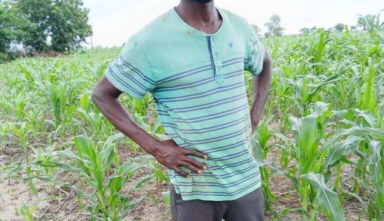Maize farmer in the field after applying ADAMA Solution