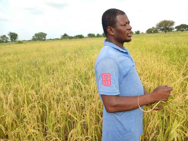 Rice farmer endorses ADAMA herbicide for rice paddy