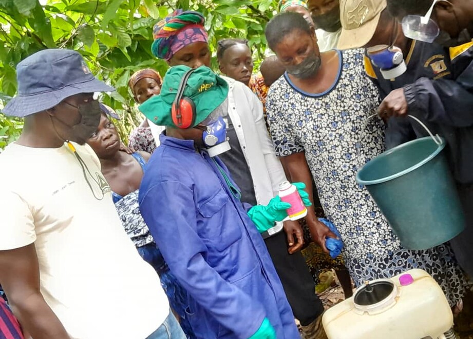 Group of farmers with ADAMA solution for cocoa insects