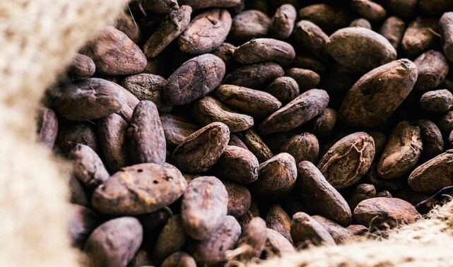 Farmer satisfied with ADAMA insecticide solution for Cocoa