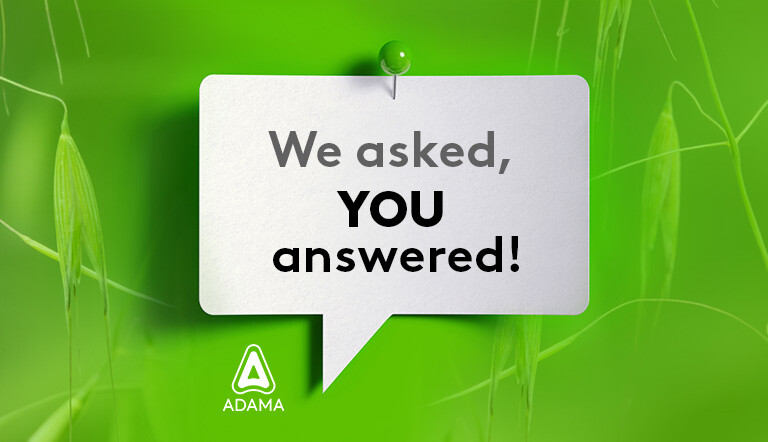 We asked, you answered!