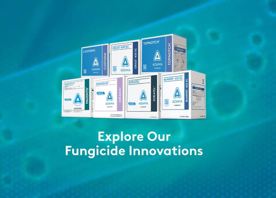 Fungicide Web Banner